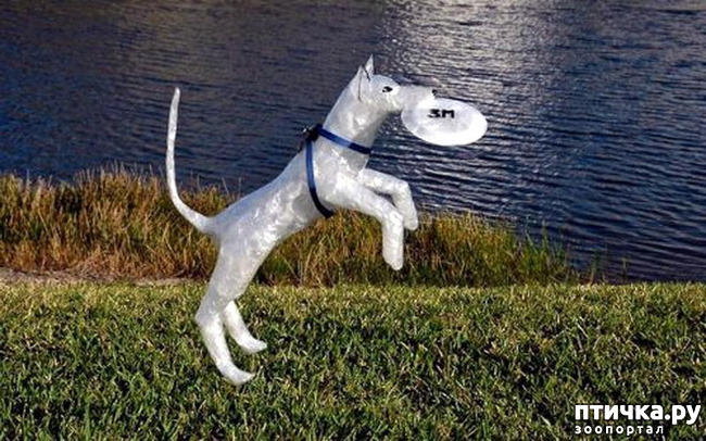 фото 15: Собаки в скульптуре
