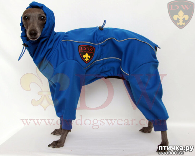 фото 3: Комбинезон дождевик для собак из мембранной ткани Soft Shell
