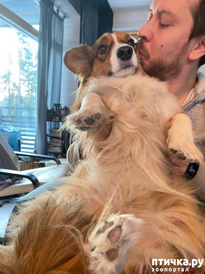 :   