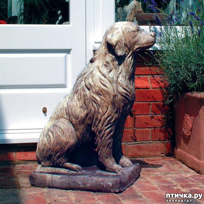 фото 7: Собаки в скульптуре