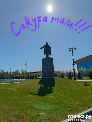 : ,  ...