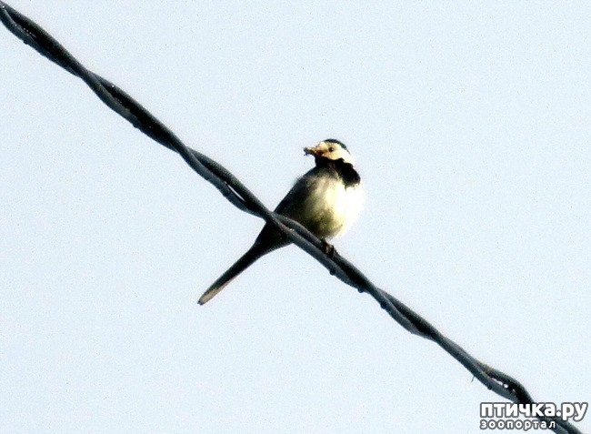 ���� 2: ������������ � ����. �����