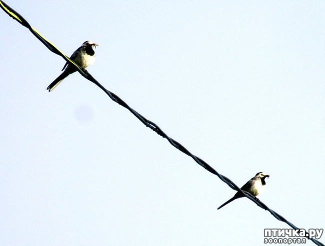 ���� 3: ������������ � ����. �����