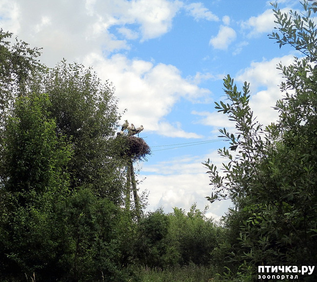 ���� 4: ������������ � ����. �����