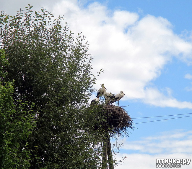 ���� 5: ������������ � ����. �����