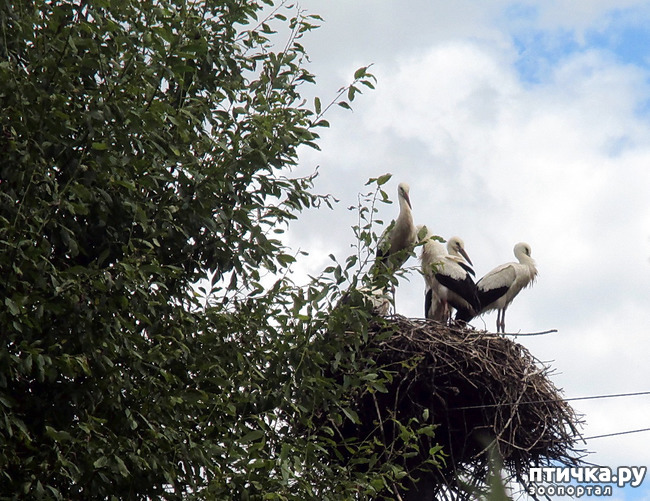 ���� 6: ������������ � ����. �����