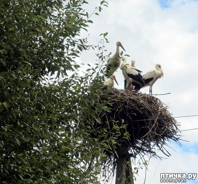 ���� 7: ������������ � ����. �����