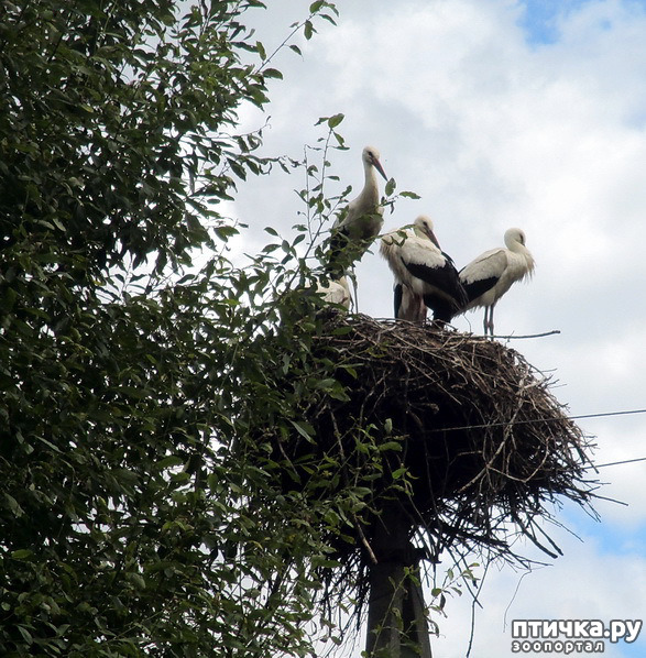 ���� 8: ������������ � ����. �����