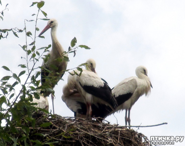 ���� 9: ������������ � ����. �����