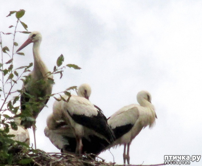 ���� 10: ������������ � ����. �����