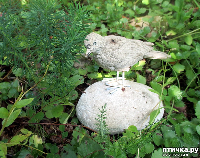 ���� 11: ������������ � ����. �����