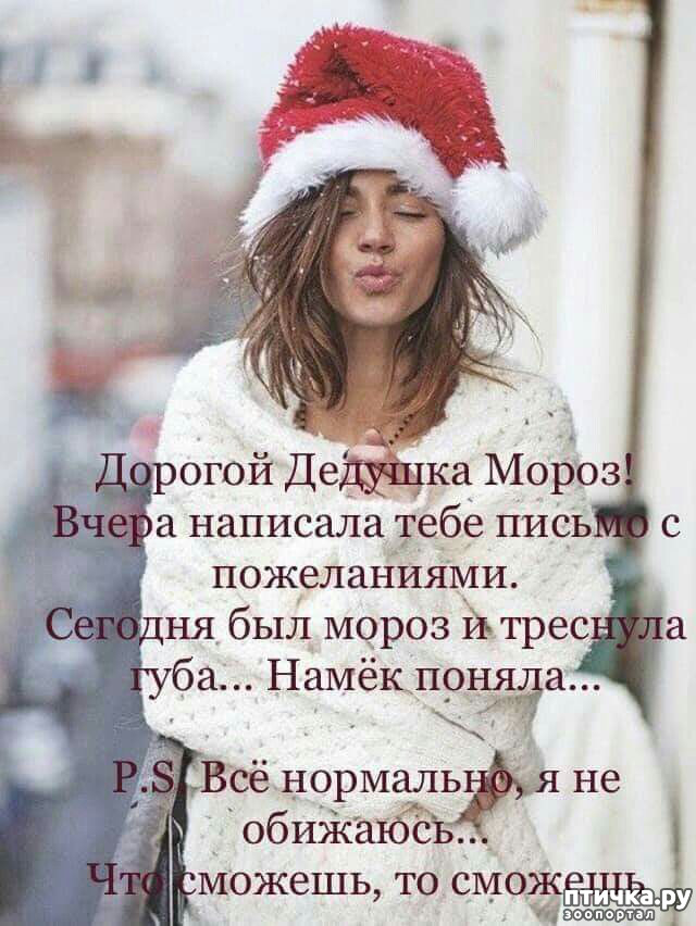  2:   ,     ))