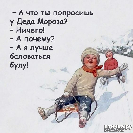  3:   ,     ))