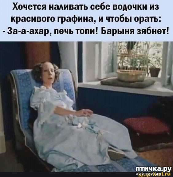  7:   ,     ))
