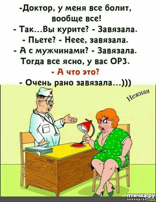  6:   ,     ))