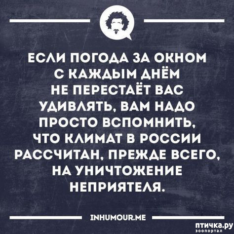  21:   ,     ))