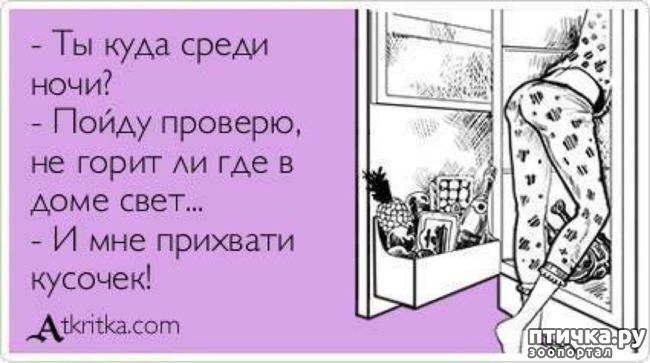  8:   ,     ))