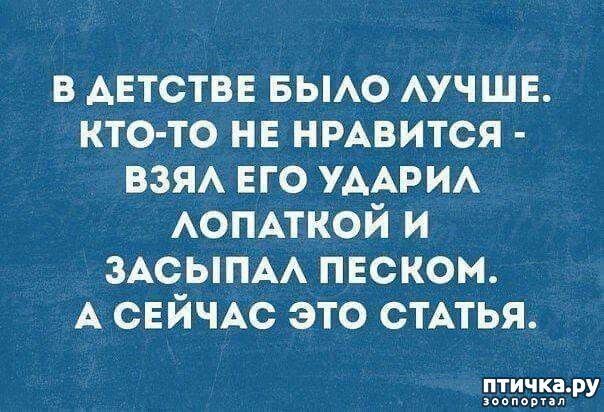 11:   ,     ))
