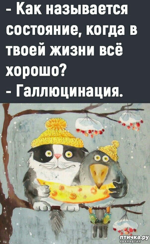 12:   ,     ))