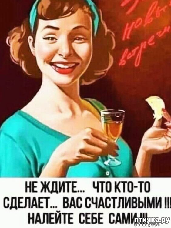  1:   ,     ))