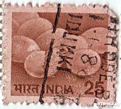  3: 