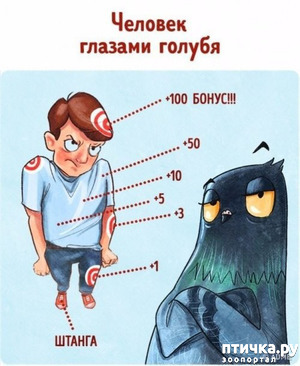 :    ... ()
