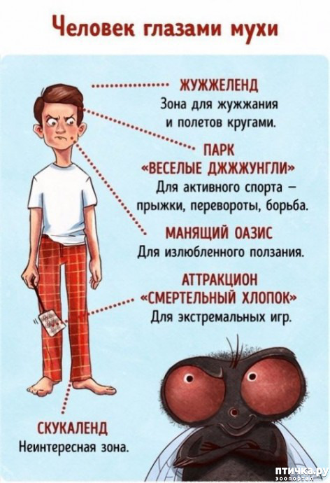  2:    ... ()