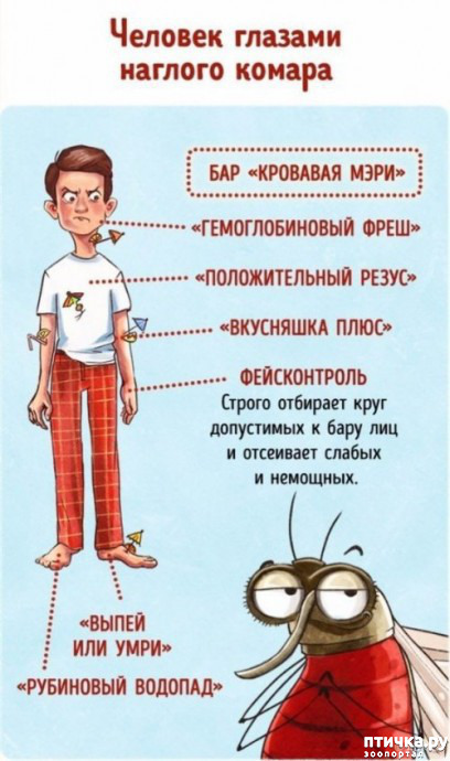  3:    ... ()