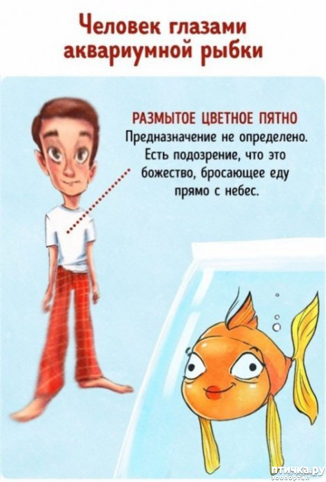  4:    ... ()