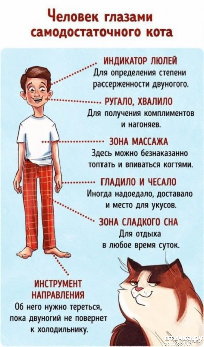  5:    ... ()