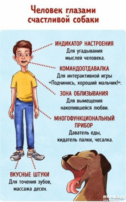  6:    ... ()