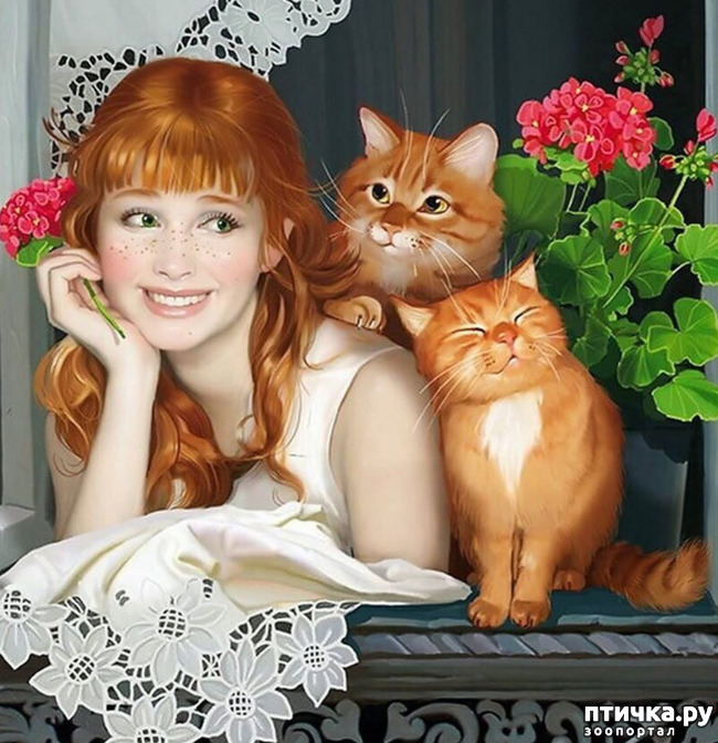  5:     