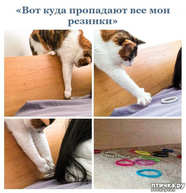  3:  ...