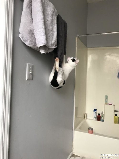  15:  ...