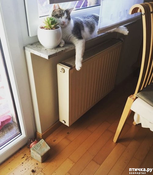  19:  ...