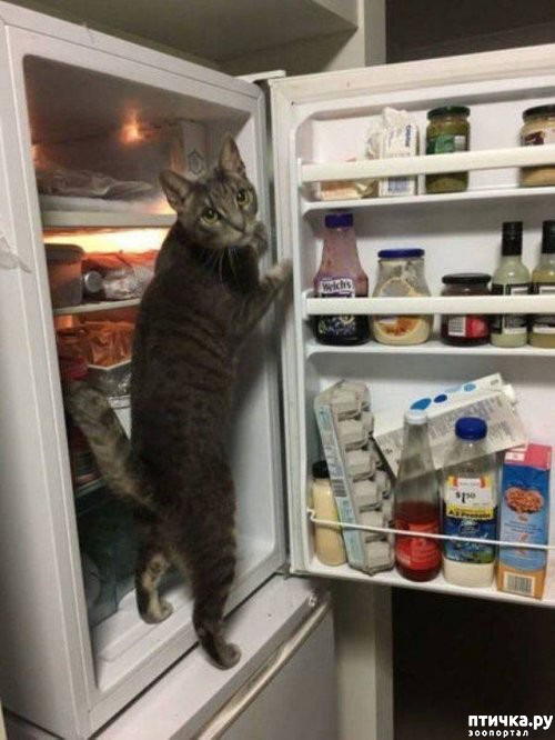  27:  ...