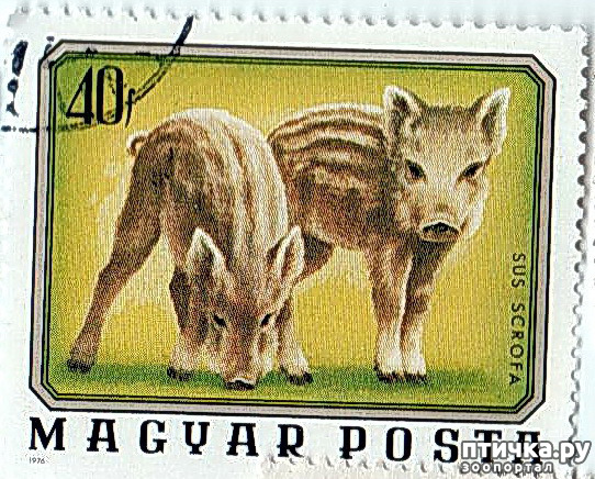  4: 