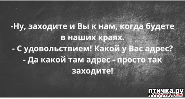 фото 6: А вот и пятницааа!