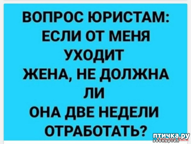 фото 8: А вот и пятницааа!