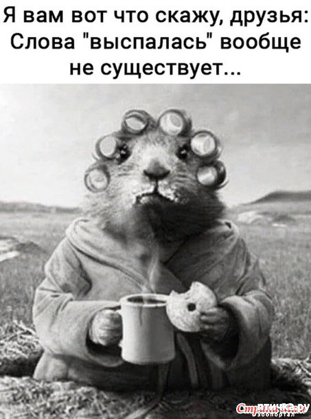 фото 9: А вот и пятницааа!