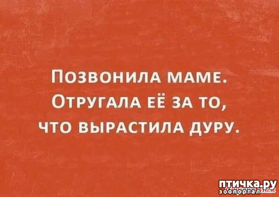 фото 27: А вот и пятницааа!