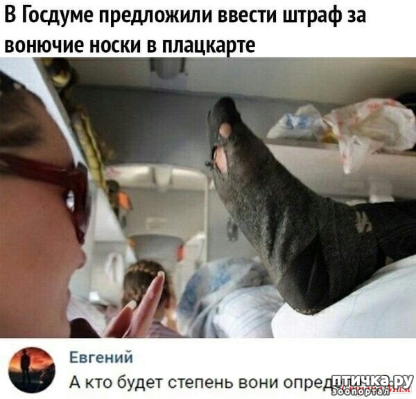 фото 29: А вот и пятницааа!