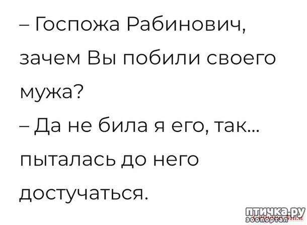 фото 32: А вот и пятницааа!