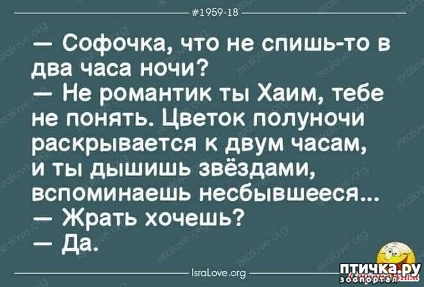 фото 35: А вот и пятницааа!