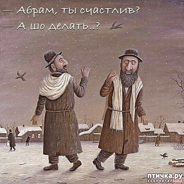 фото 37: А вот и пятницааа!
