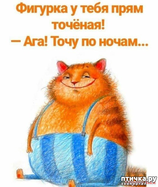 фото 44: А вот и пятницааа!