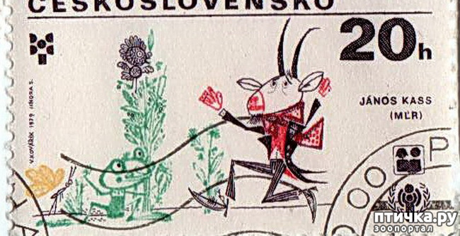  4:  