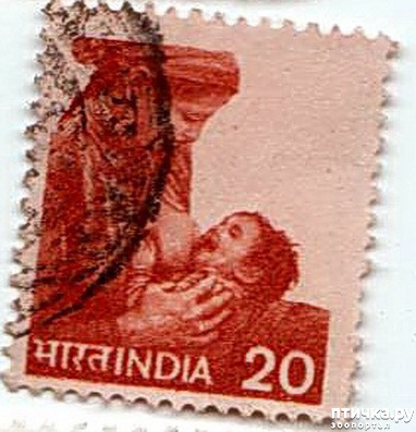 5:  