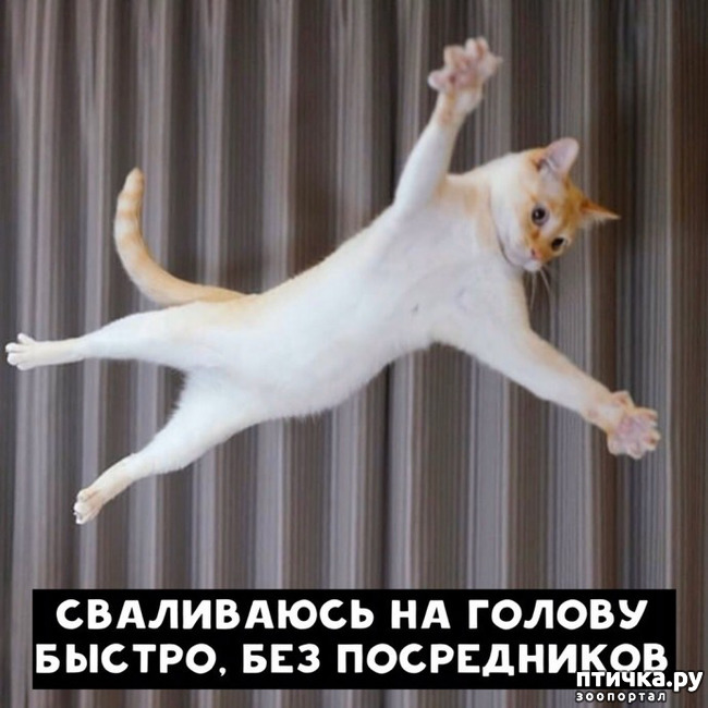 8:   ...