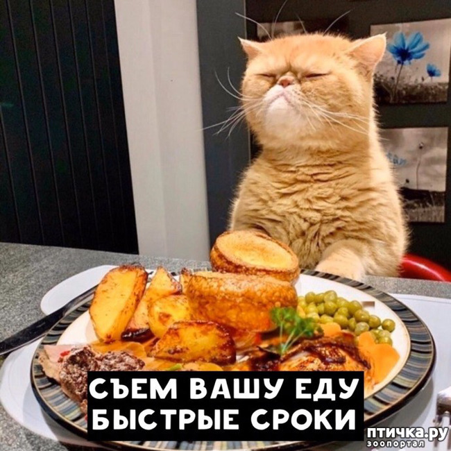  9:   ...